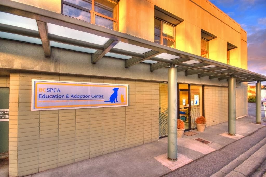BC SPCA Richmond Education & Adoption Centre | 7791 Steveston Hwy, Richmond, BC V7A 1W8, Canada | Phone: (604) 277-3100