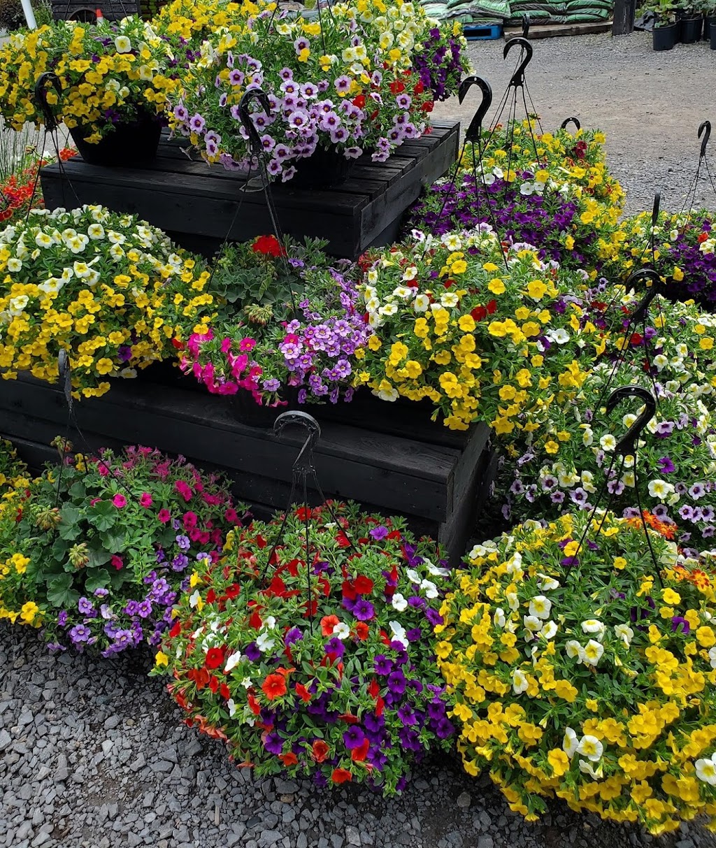 Centre jardin St-Donat | 1174 Rue Principale, Saint-Donat-de-Montcalm, QC J0T 2C0, Canada | Phone: (514) 823-0855