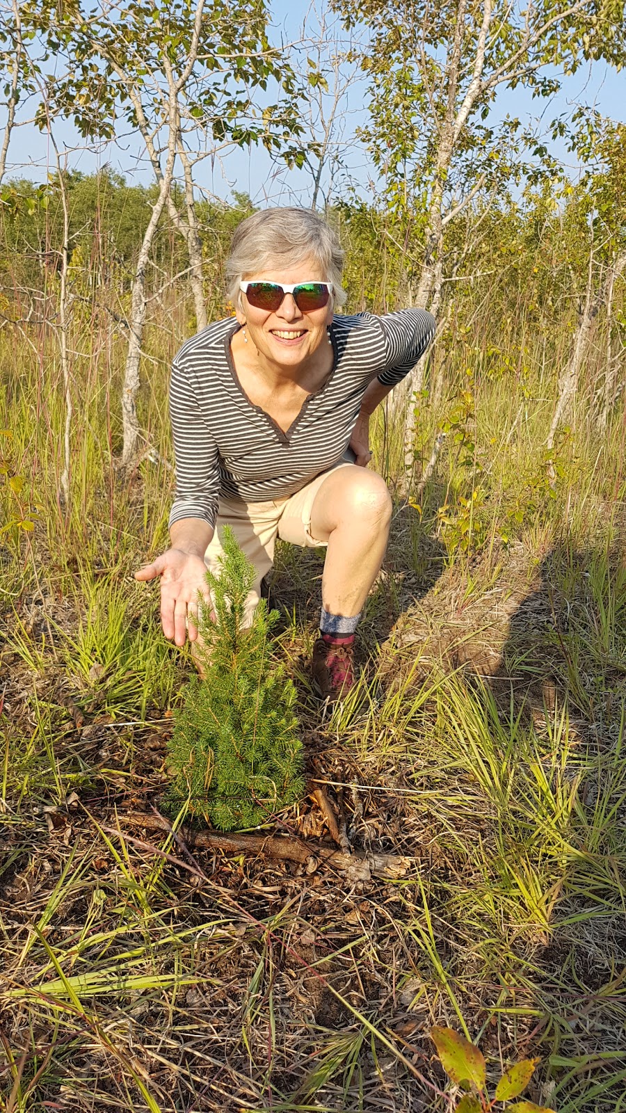 Cedar Bog Trail Trailhead | Birds Hill Rd, Springfield, MB R0E 1J0, Canada