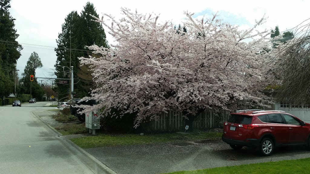 Hammond Stadium | 20601 Westfield Ave, Maple Ridge, BC V2X, Canada | Phone: (604) 467-7346