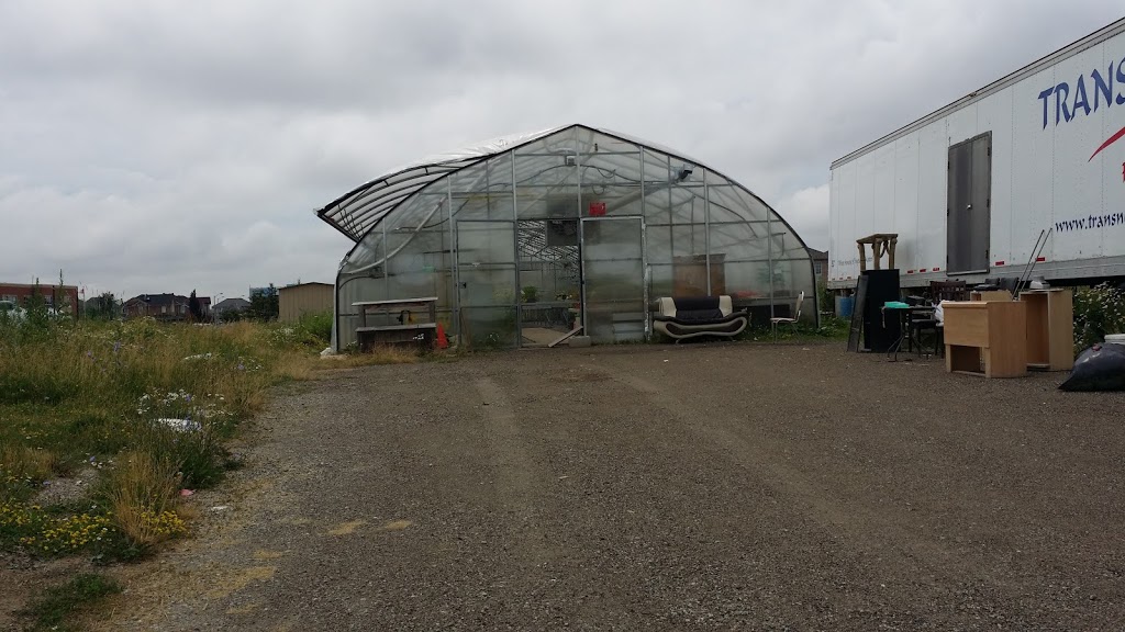 AMJ GREEN HOUSE | Maple, Vaughan, ON L6A 3A5, Canada