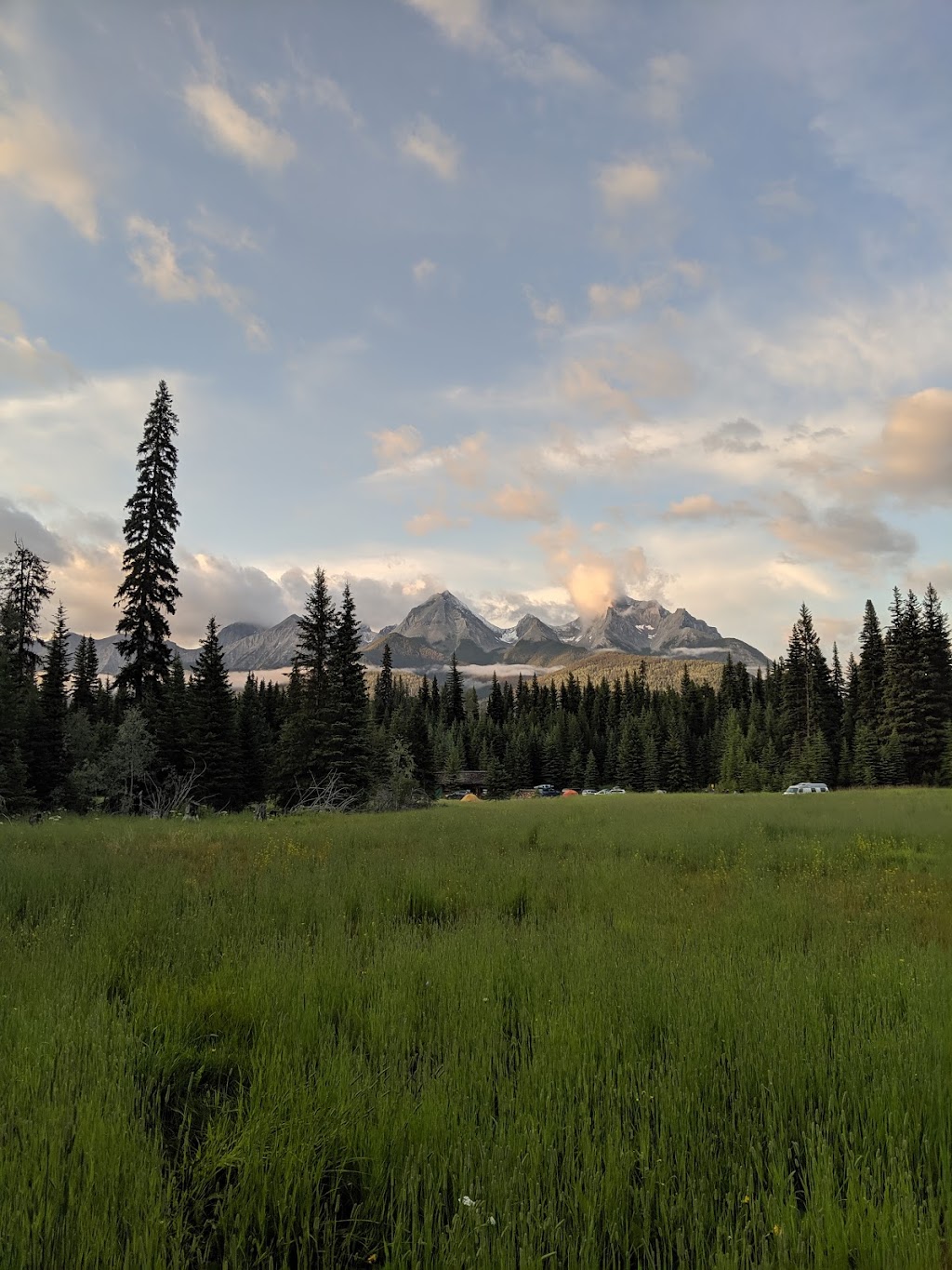 Crooks Meadow Group campground | Kootenay Hwy 93 S, Edgewater, BC V0A 1E0, Canada | Phone: (250) 347-9505