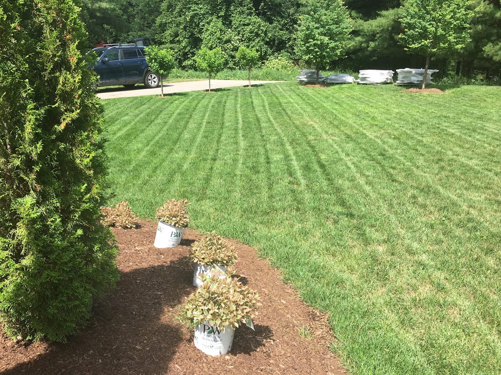 JMD Lawn Care | 16 Joanne Crescent, Elora, ON N0B 1S0, Canada | Phone: (437) 241-2127