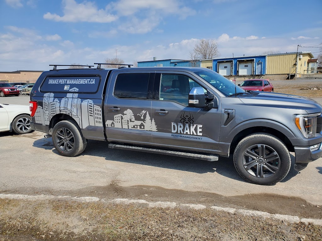 Drake Pest Management | 2812 Rutledge Rd, Sydenham, ON K0H 2T0, Canada | Phone: (613) 893-2812