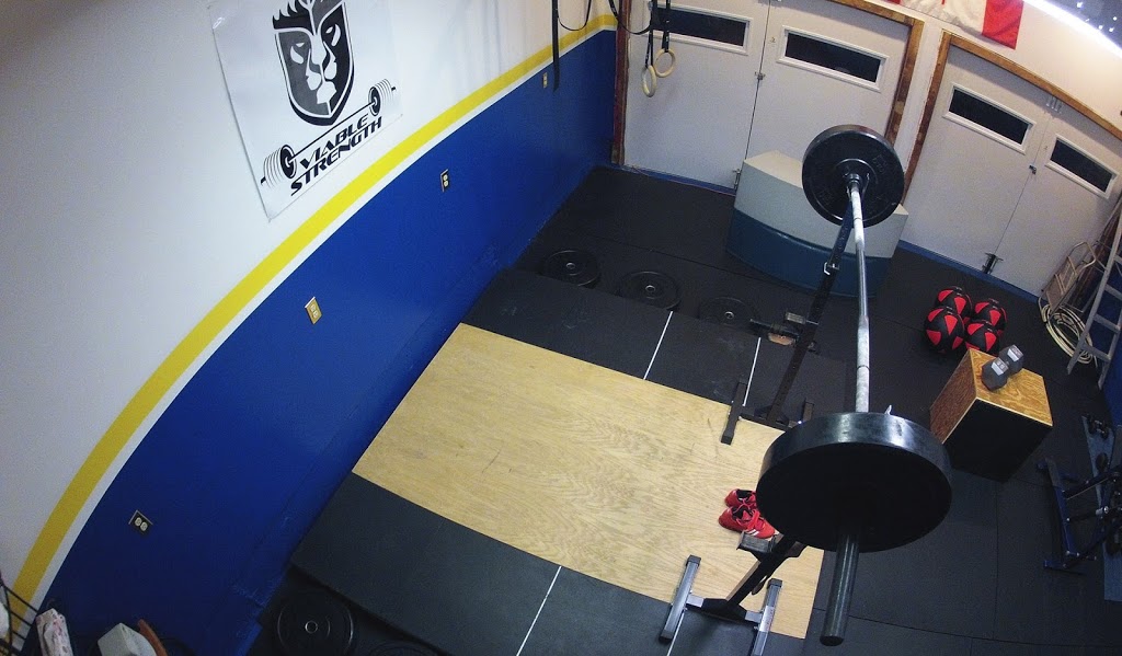 Viable Strength | 15 Lauchlin Crescent, Georgetown, ON L7G 5R1, Canada | Phone: (289) 890-0406