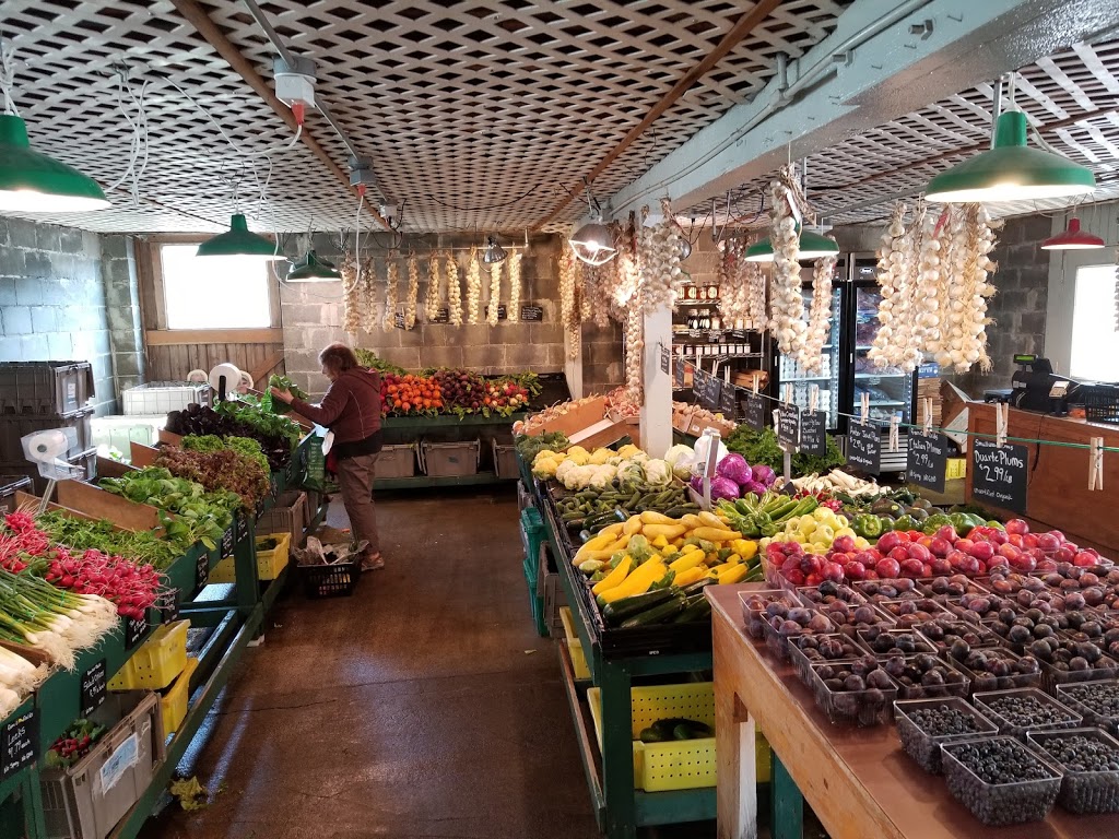 Joes Gardens | 3110 Taylor Ave, Bellingham, WA 98225, USA | Phone: (360) 671-7639
