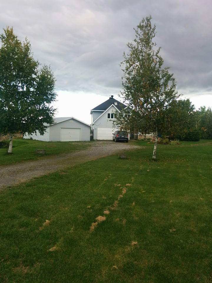 Li-Mo Panda Farm | 3707 County Rd 21, Spencerville, ON K0E 1X0, Canada | Phone: (613) 986-2991
