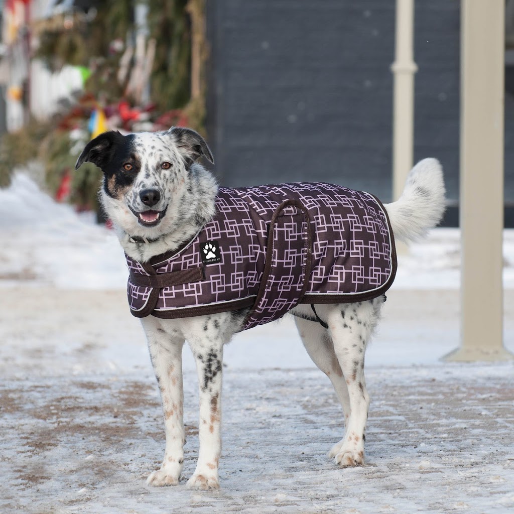Shedrow K9 | 5665 McLaughlin Rd, Mississauga, ON L5R 3K5, Canada | Phone: (800) 268-0484