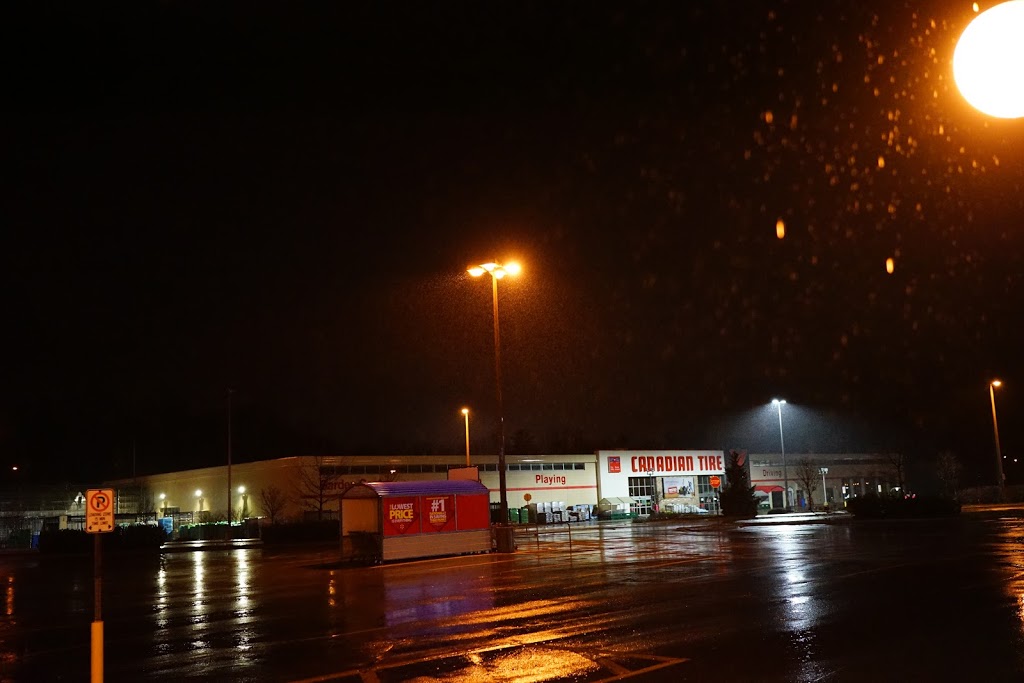 Canadian Tire | 248 Broadway, Tillsonburg, ON N4G 3R4, Canada | Phone: (519) 842-5926