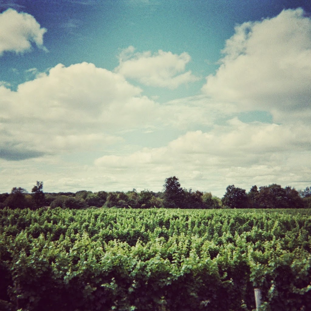 Grange of Prince Edward Vineyards and Estate Winery | 990 Closson Rd, Hillier, ON K0K 2J0, Canada | Phone: (613) 399-1048