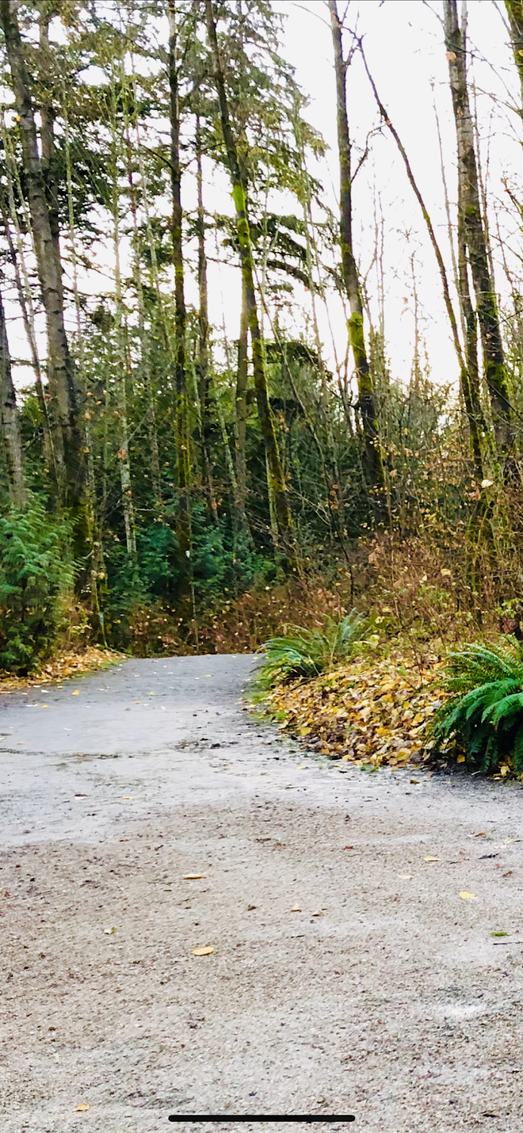 Camosun Trail | 33, Vancouver, BC V6R 3E3, Canada