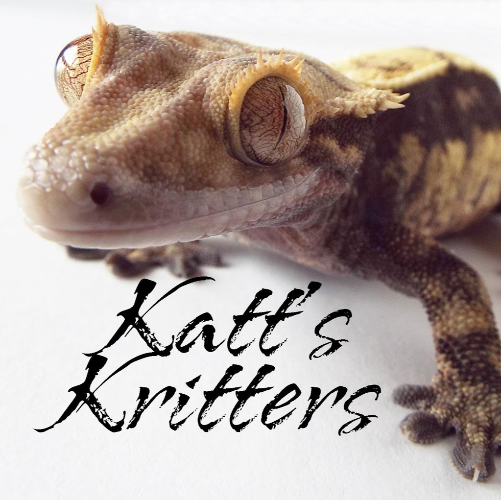 Katts Kritters | pet store | 1V4, 107-302 Amherst Dr, Amherstview, ON K7N 1S9, Canada | 6135830116 OR +1 613-583-0116