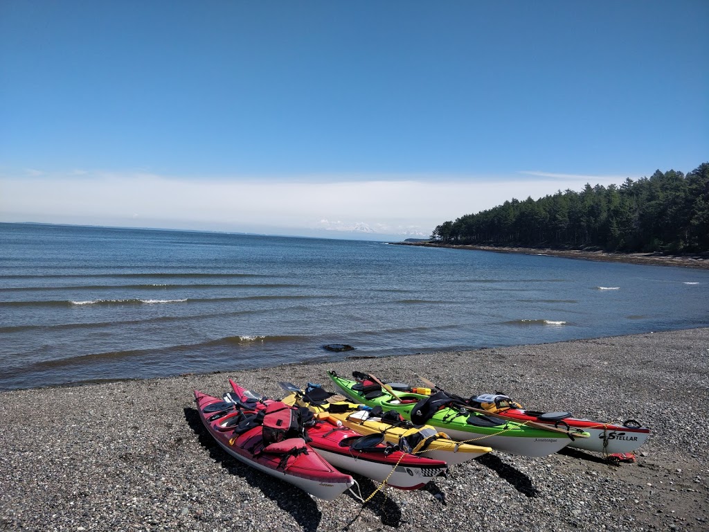 Kayaking Skills Saturna Island | 100 E Point Rd, Saturna, BC V0N 2Y0, Canada | Phone: (604) 725-8897