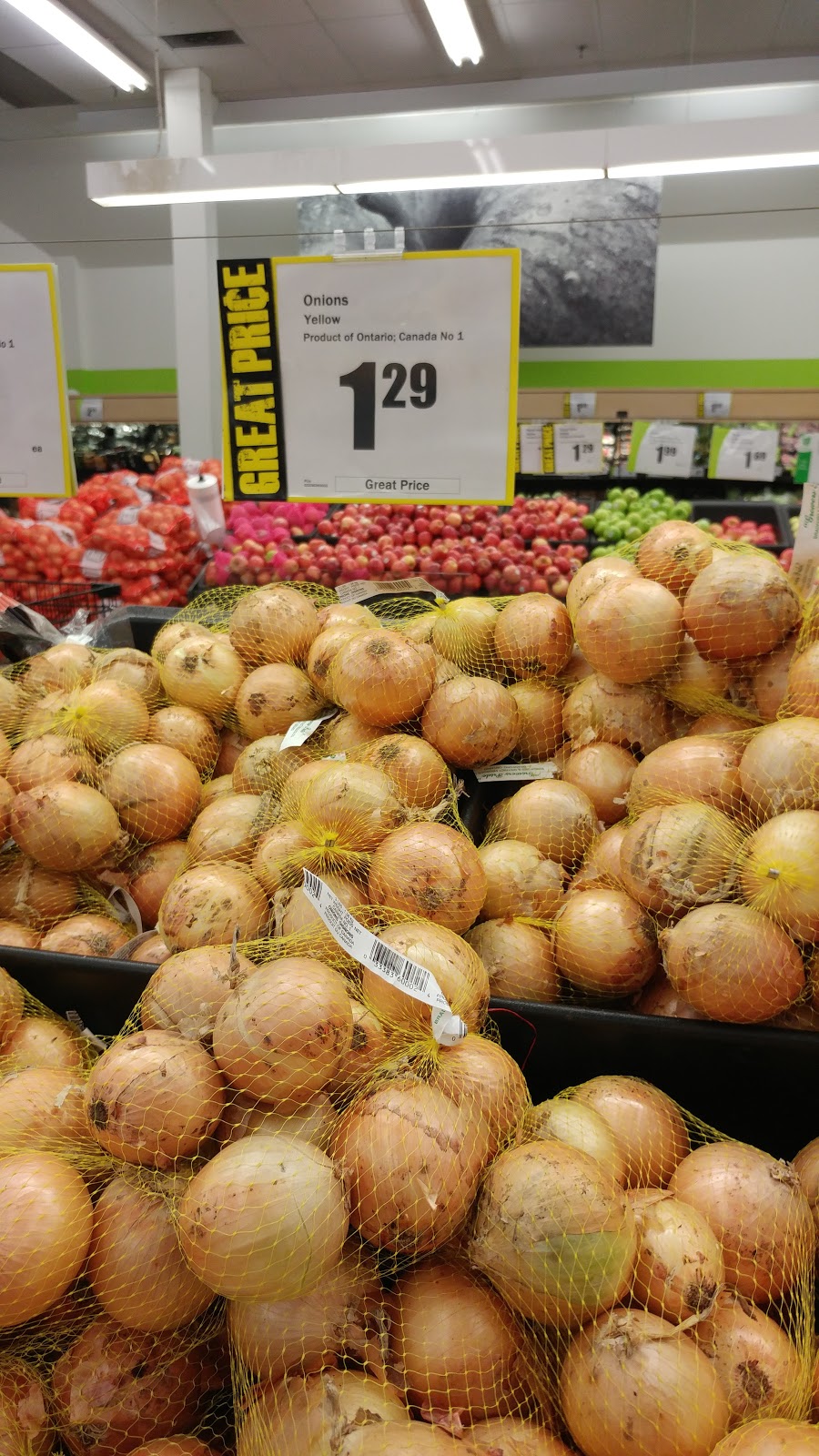FreshCo Leamington Erie Street | 250 Erie St S, Leamington, ON N8H 3C5, Canada | Phone: (519) 322-0713