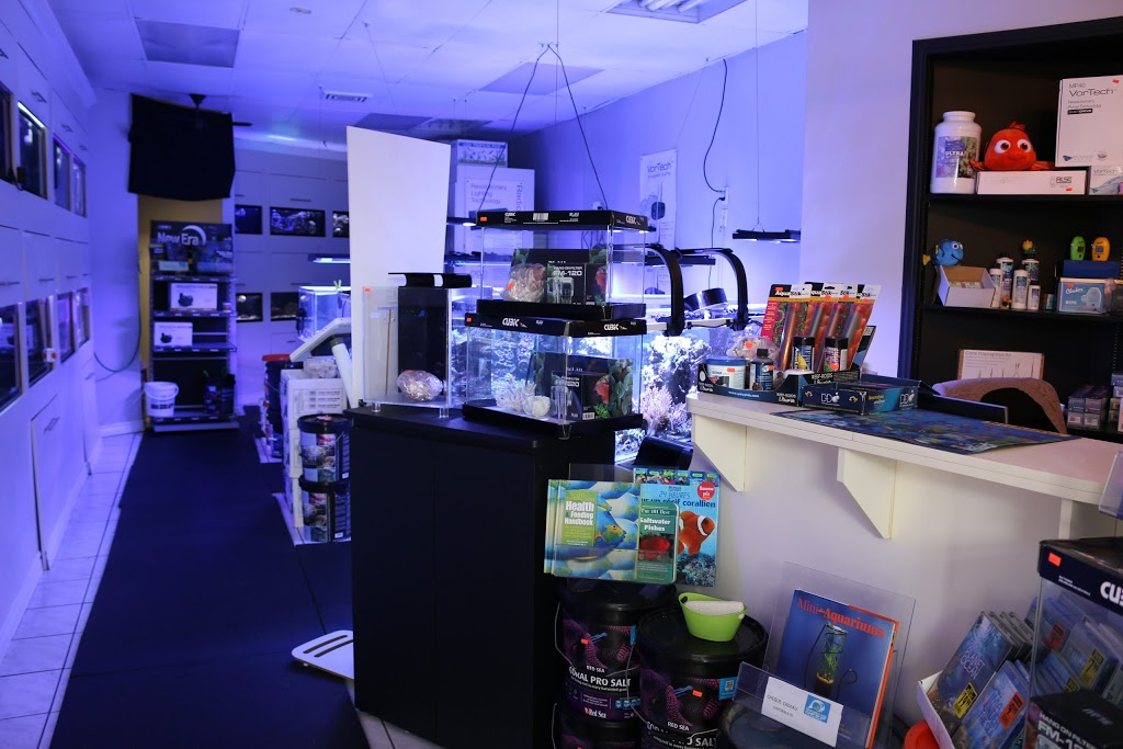 Aquarium Recifal Raging Reef - Rive-sud | 5579 Boulevard Maricourt, Saint-Hubert, QC J3Y 2E9, Canada | Phone: (450) 812-6680