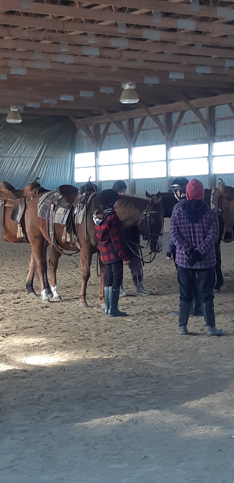 Rusty Jade Ranch | 18070 Duffys Ln, Palgrave, ON L7E 3C4, Canada | Phone: (416) 938-1830