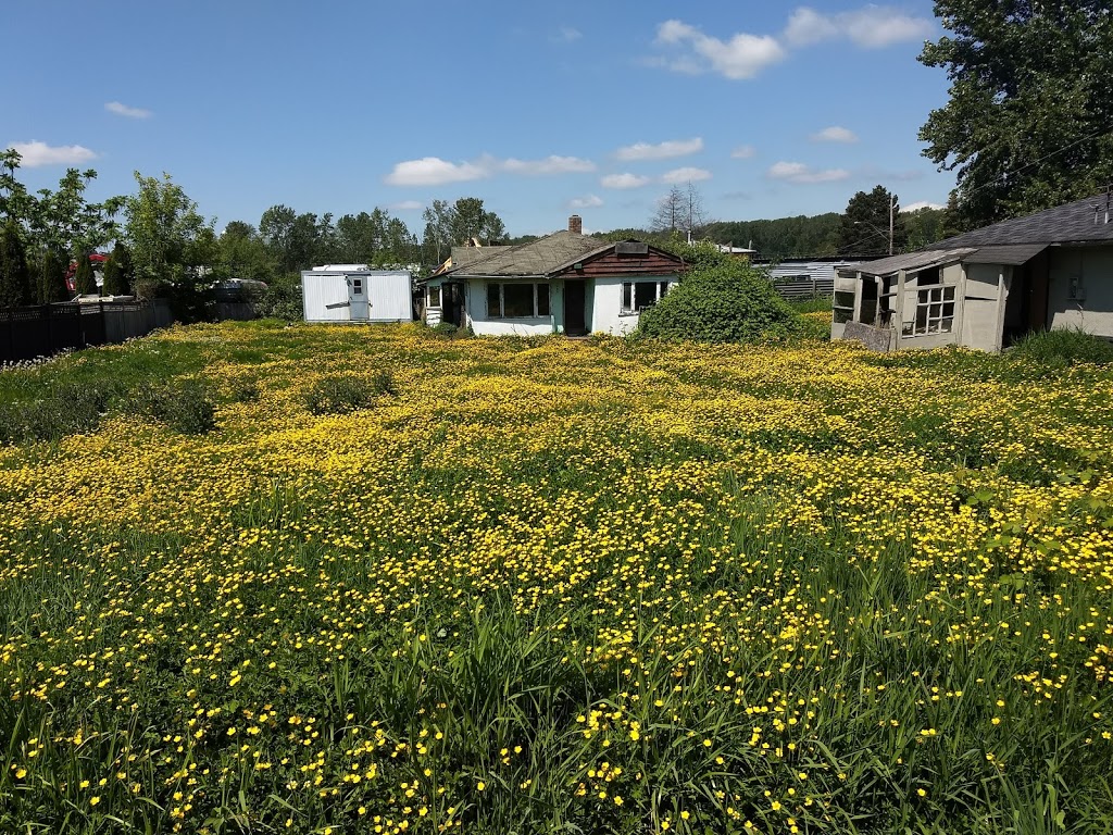 Old Schoolhouse Park | 518 Ewen Ave, New Westminster, BC V3M 5B1, Canada | Phone: (604) 521-3711