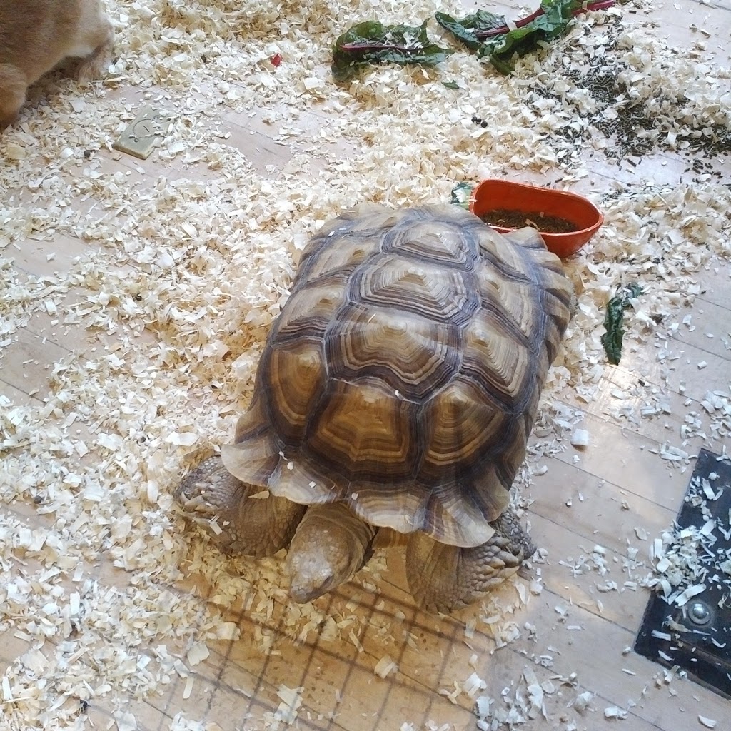 Tiffin Centre for Conservation | 8195 8th Line, Utopia, ON L0M 1T0, Canada | Phone: (705) 424-1479