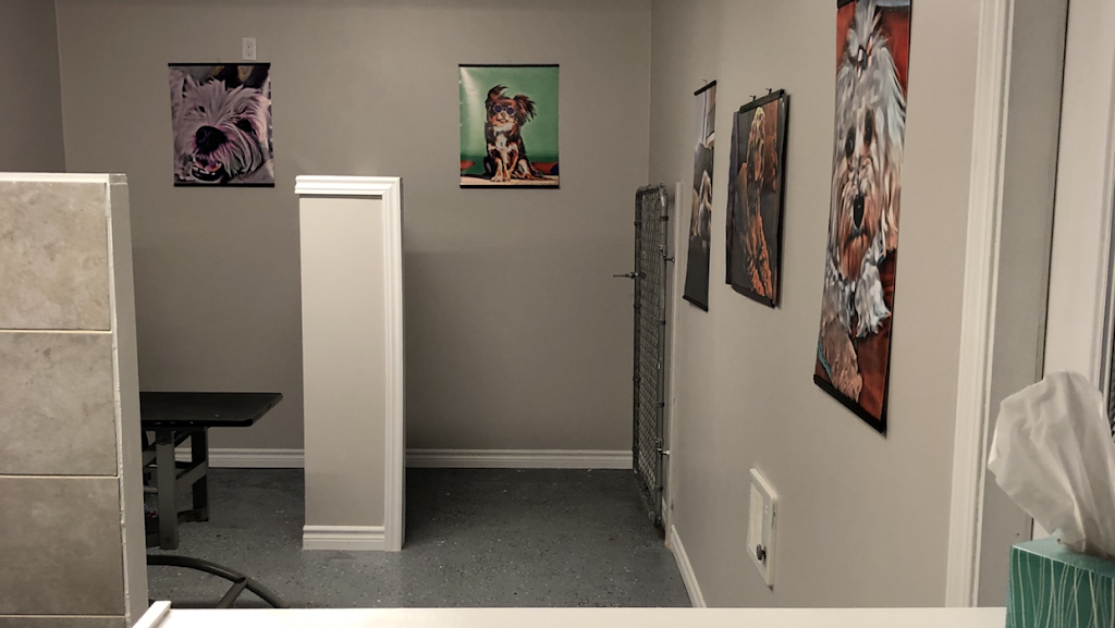 Paws-itive Vibes Dog Spa | 445133 Gunns Hill Rd, Woodstock, ON N4S 7V8, Canada | Phone: (226) 232-6575