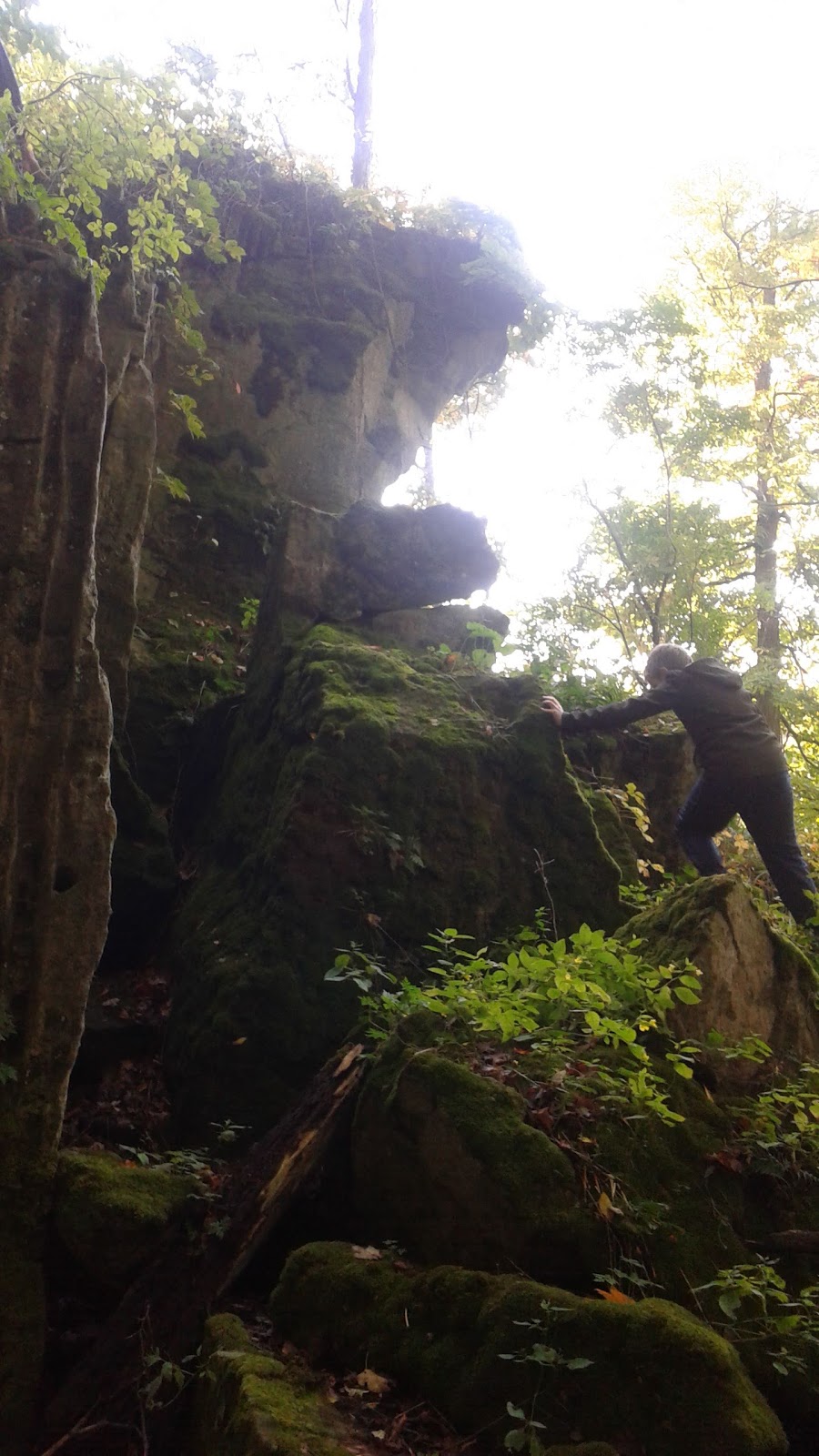 Cave Springs Conservation Area | 3949 Cave Spring Rd, Campden, ON L0R 1G0, Canada