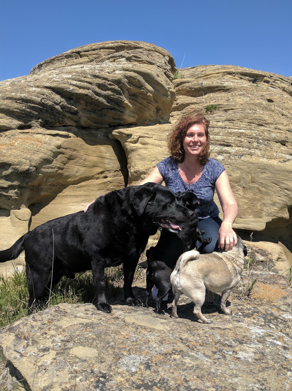 Riverwood Veterinary Clinic | 404 High Country Dr NW, High River, AB T1V 0J4, Canada | Phone: (403) 744-5164