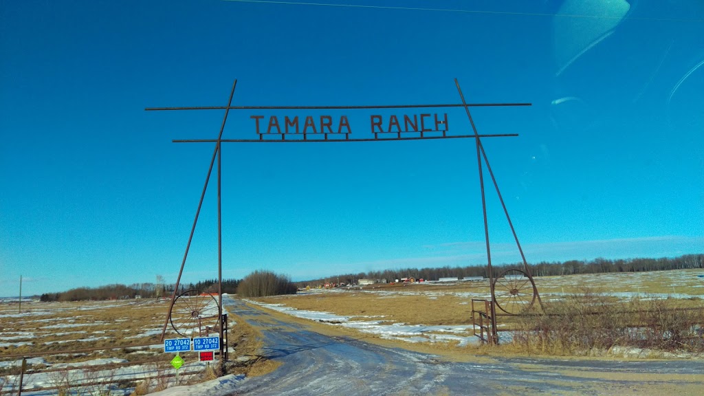 Steel Pony Farm | RR3, Red Deer, AB T4N 5E3, Canada | Phone: (403) 506-3634