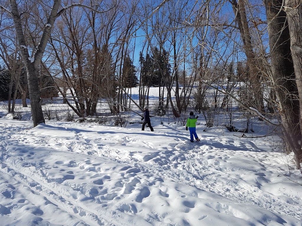 Confederation Park Parking, 30 Ave & 7 st | Unnamed Road, Calgary, AB T2K 0A2, Canada