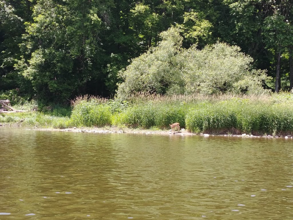 RiverRidge Bed & Breakfast | 232 W River Rd, Paris, ON N3L 3E2, Canada | Phone: (519) 442-0996