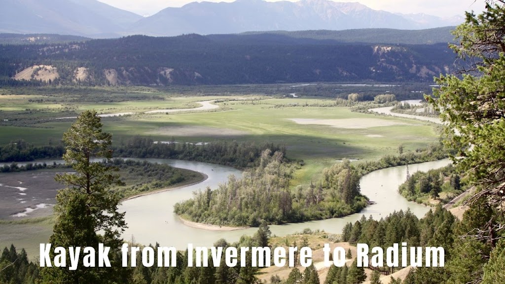 Invermere REALTOR® - Diane Planidin - Licensed with EXP Realty | 1205 Hilltop Rd, Windermere, BC V0B 2L1, Canada | Phone: (403) 968-8874
