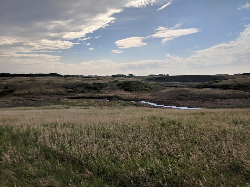 Touronds Coulee | Unnamed Road, 0E0, Alvena, SK S0K 0E0, Canada