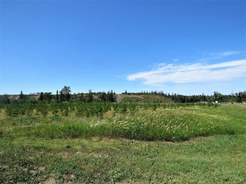 West River's Edge Pavilion River Valley Dr, Fort Saskatchewan, AB T8L