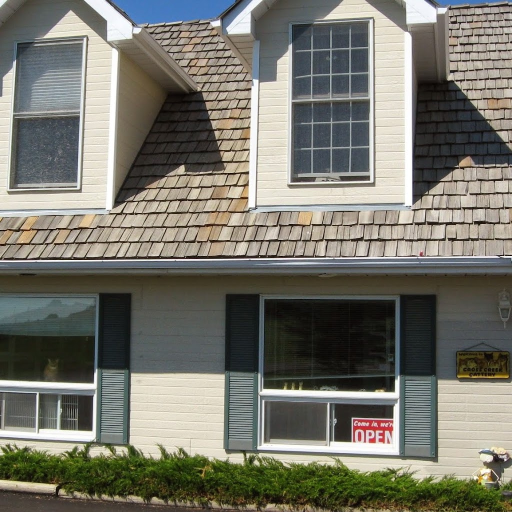 Cross Creek Cattery | 242 Ave W, De Winton, AB T0L 0X0, Canada | Phone: (403) 938-5386