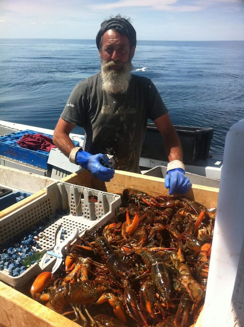 Bait Masters Inc. | 221 Wharf Rd, Nine Mile Creek, PE C0A 1H2, Canada | Phone: (902) 675-3719