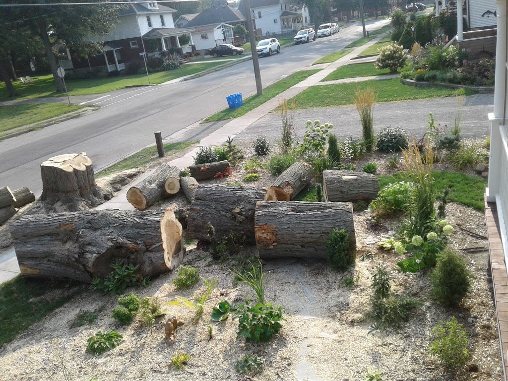 Davey Tree Expert Co. of Canada, Limited | 1354 Chippawa Creek Rd, Port Robinson, ON L0S 1K0, Canada | Phone: (905) 684-2087