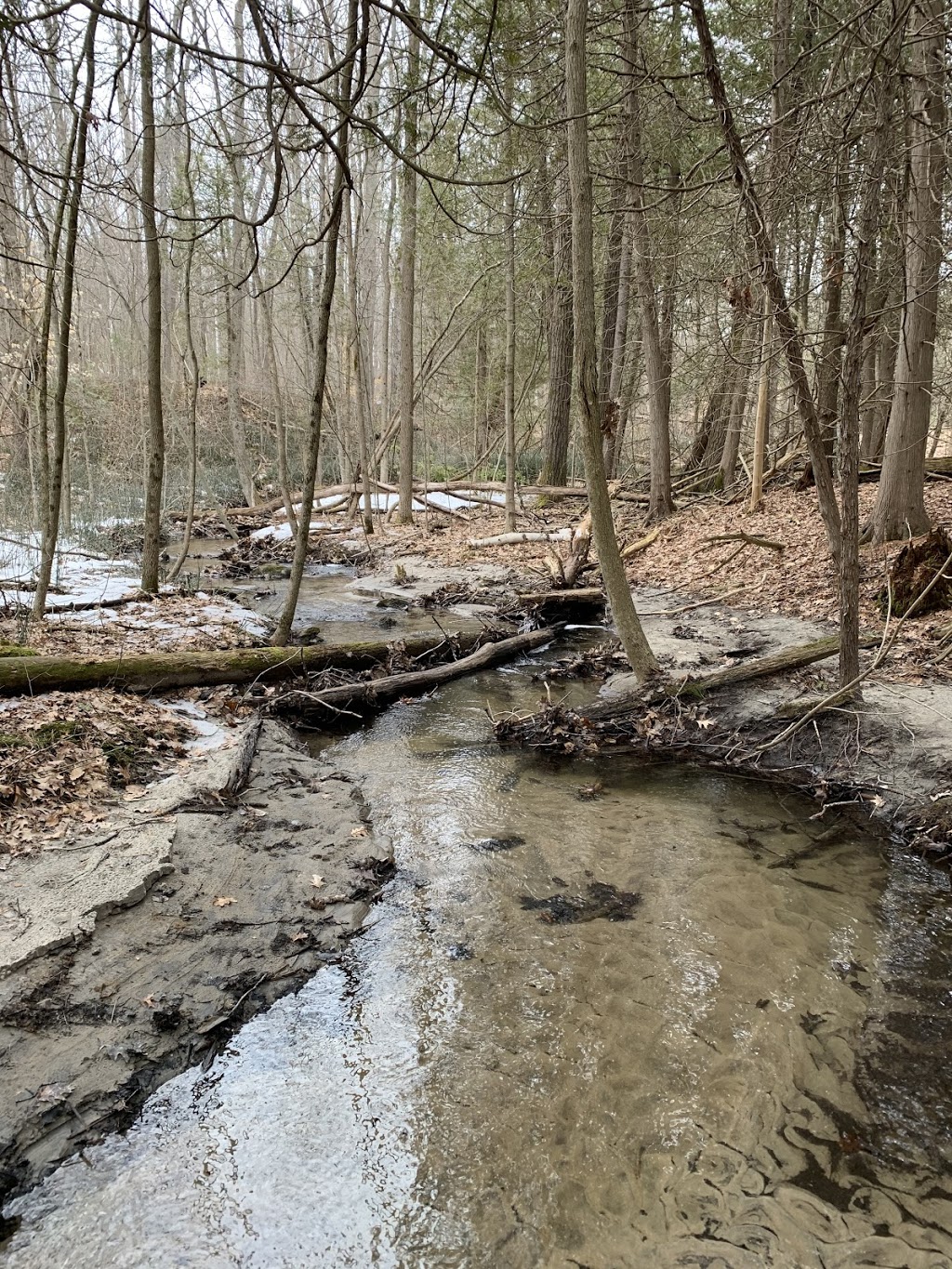 Sidney Conservation Area | 379 Airport Rd, Stirling, ON K0K 3E0, Canada | Phone: (613) 968-3434
