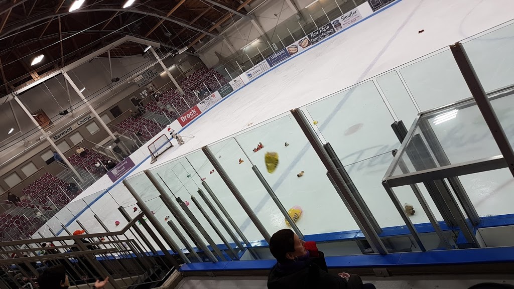 Tillsonburg Community Centre | 45 Hardy Ave, Tillsonburg, ON N4G 3W9, Canada | Phone: (519) 688-9011