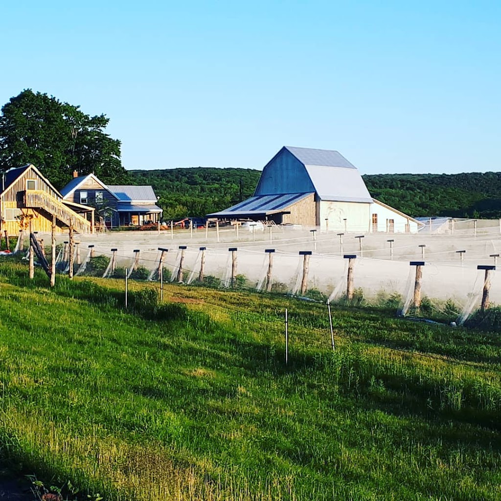 Sweet Earth Farm | 331 Spiddle Hill Rd, Tatamagouche, NS B0K 1V0, Canada | Phone: (902) 657-2308