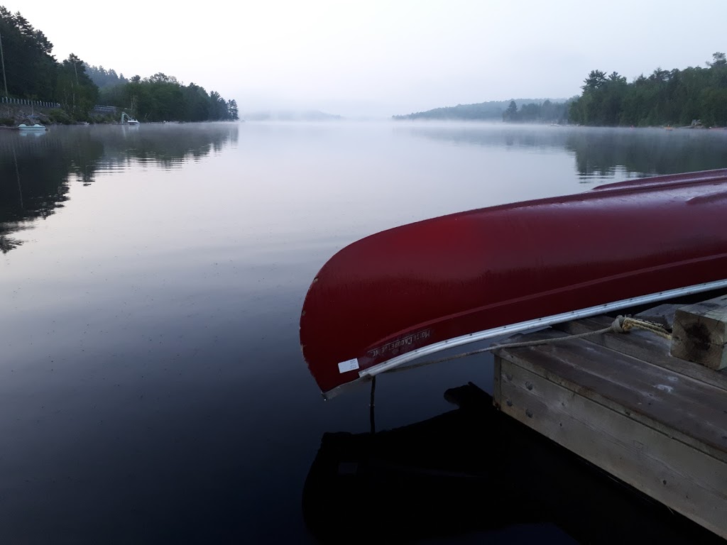 Ox Narrows Lodge | 3538 Kushog Lake Rd, Algonquin Highlands, ON K0M 1J2, Canada | Phone: (416) 580-2272