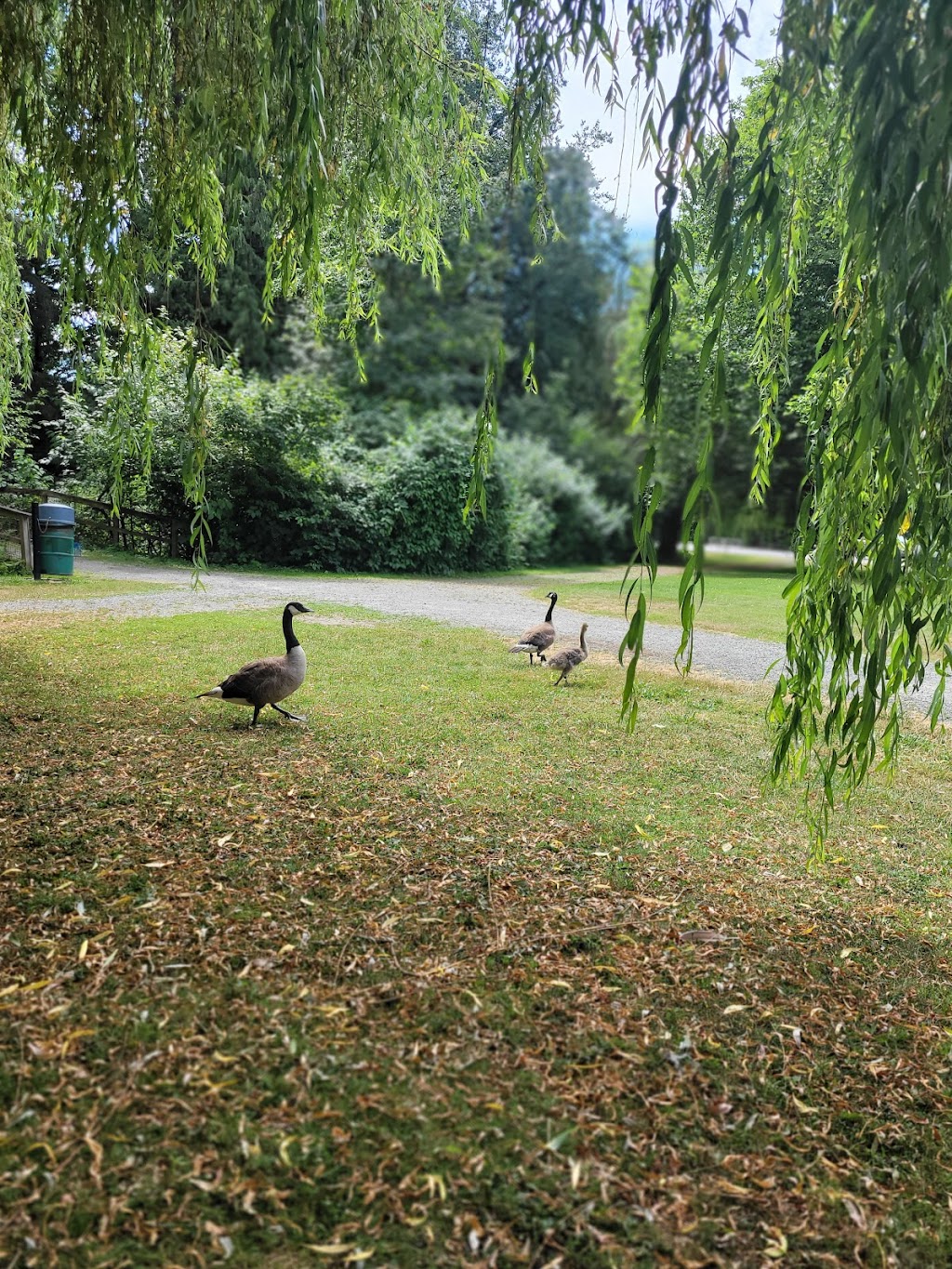 Manuel Park | 6850 Vedder Rd, Chilliwack, BC V2R 4E1, Canada | Phone: (604) 793-2904