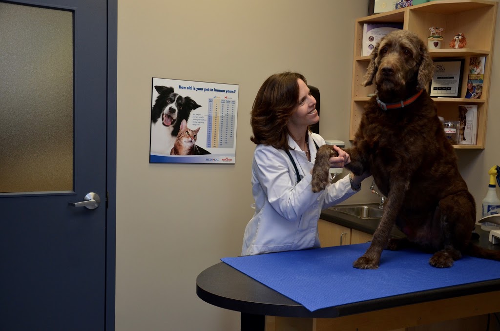 South Side Pet Hospital | 728 Burloak Dr, Burlington, ON L7L 0B1, Canada | Phone: (905) 681-7297