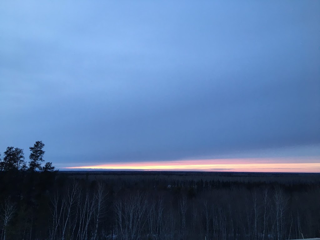 Sand Forest | Rd 31N, Marchand, MB R0A 0Z0, Canada | Phone: (204) 408-5298