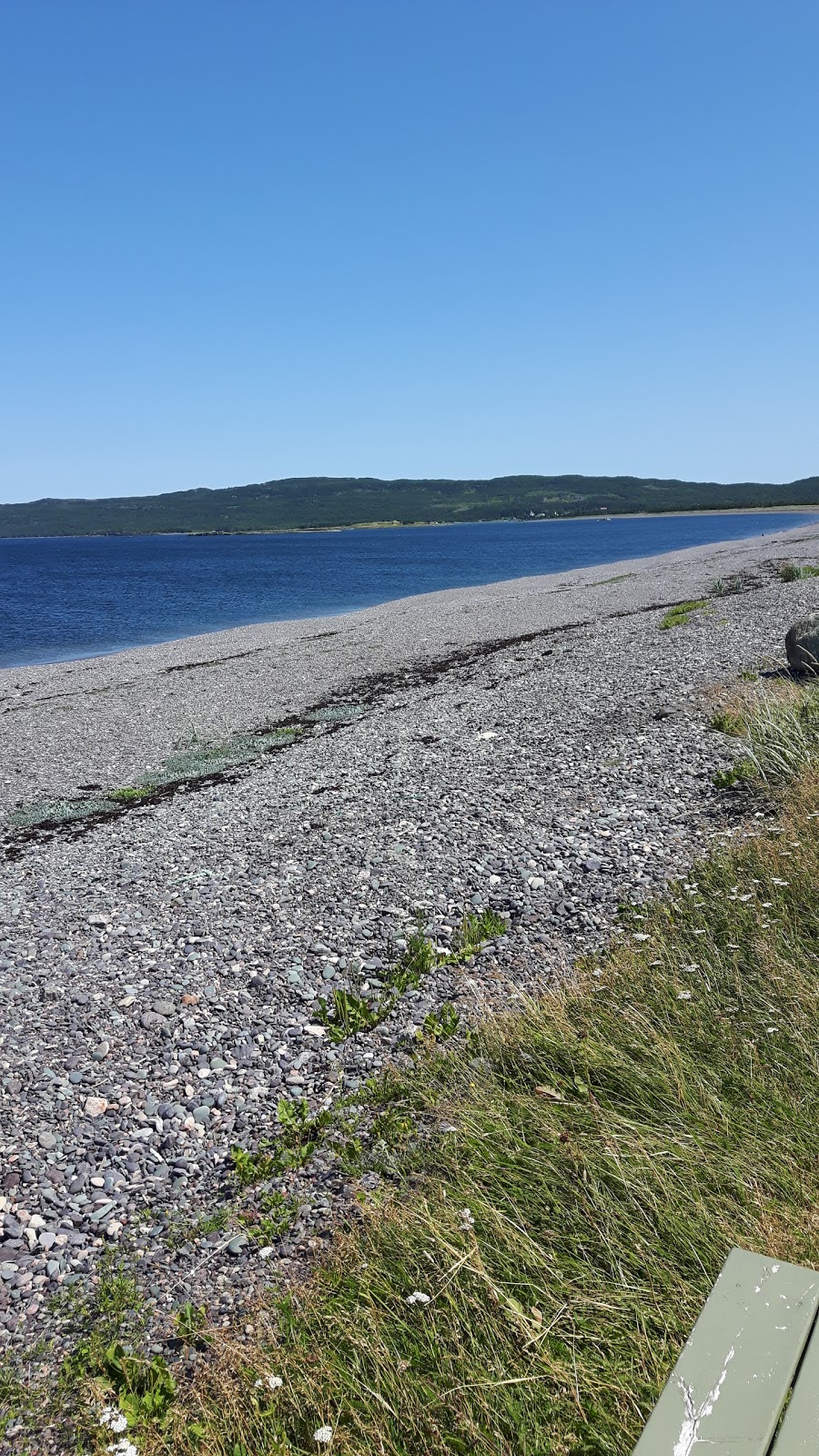 Fiddlers Green Log Tourist Cabins | 219 Main Rd, Bellevue, NL A0B 1B0, Canada | Phone: (709) 442-3333