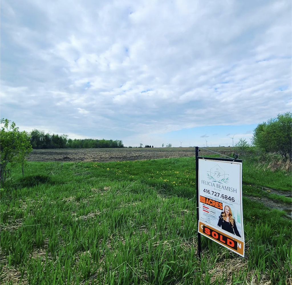 Felicia Beamish Real Estate | 126 Main St E, Hornings Mills, ON L9V 3K5, Canada | Phone: (416) 727-6846