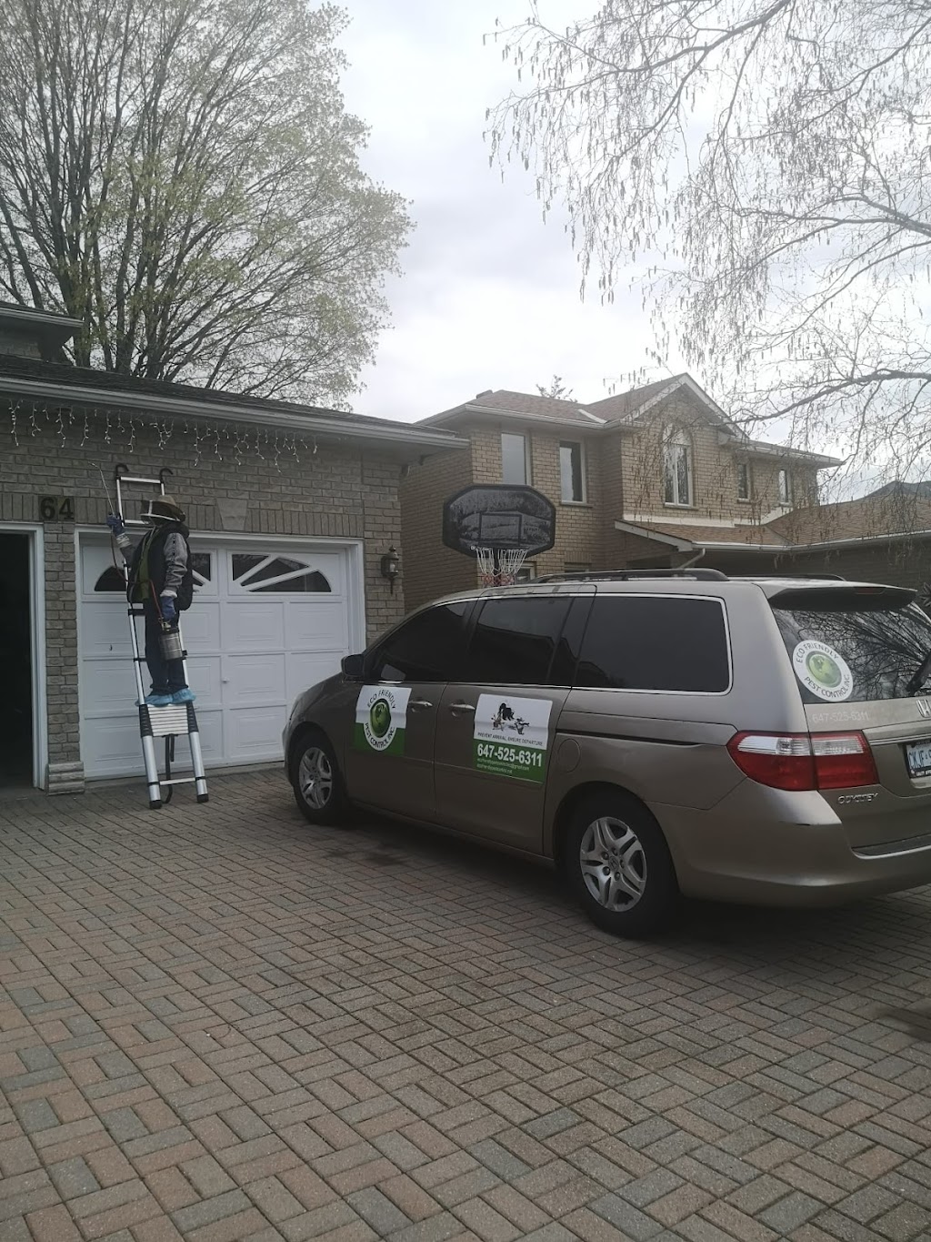 Eco-Friendly Pest Control Inc | 64 Parkview Heights, Trenton, ON K8V 6P5, Canada | Phone: (647) 525-6311
