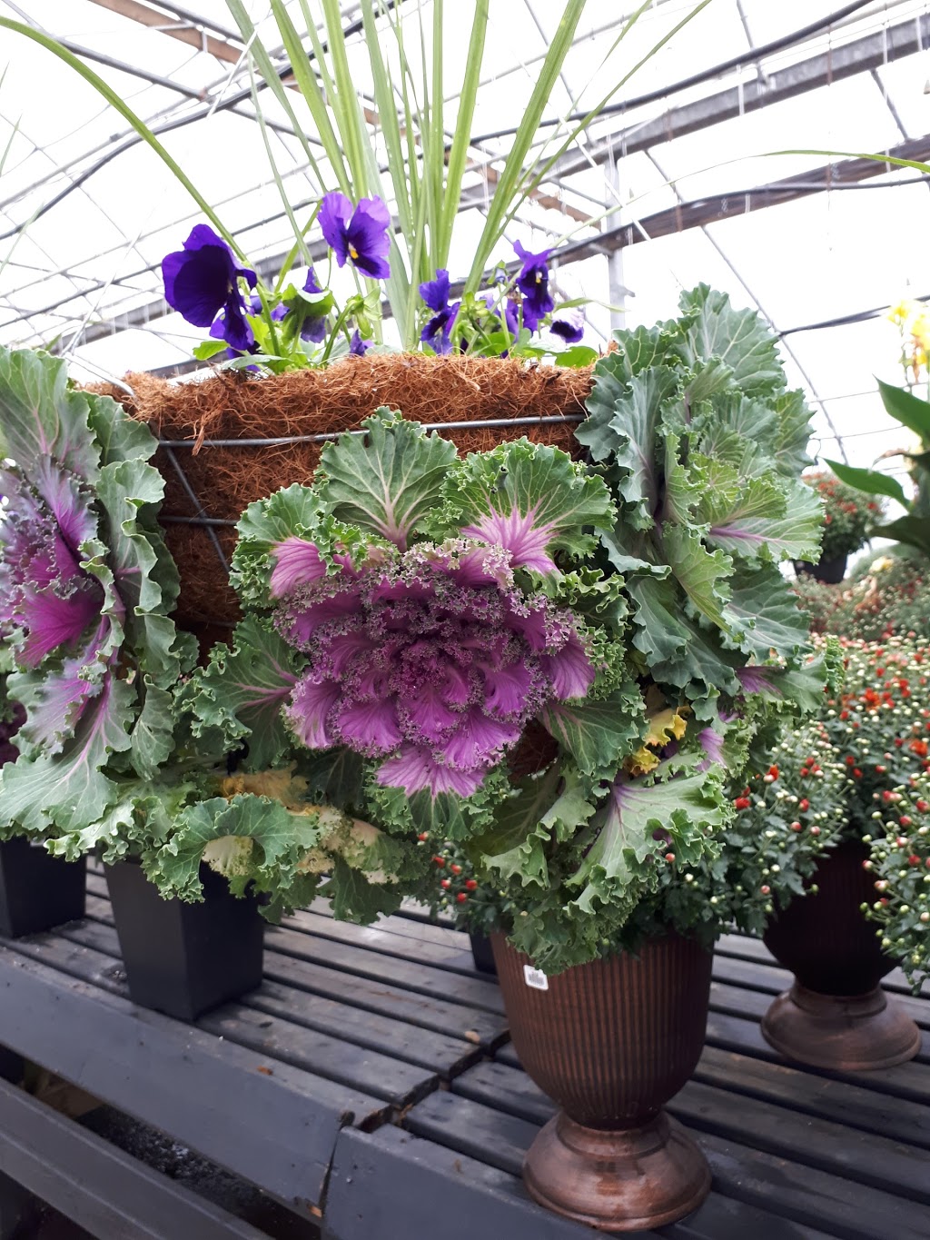 Bloom Greenhouse & Garden Centre | 1421 Hammonds Plains Rd, Hammonds Plains, NS B4B 1P6, Canada | Phone: (902) 832-9268