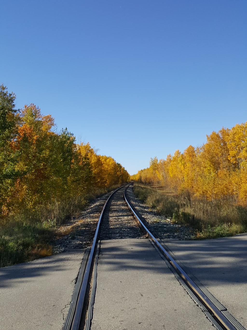 Esso | AB-43, Gunn, AB T0E 1A0, Canada | Phone: (780) 967-2688