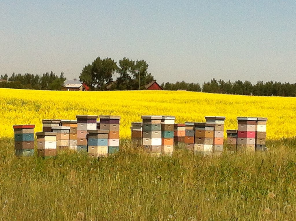 Honey Meadows Farm Inc | 290045 192st East, AB T1S 4A3, Canada | Phone: (403) 701-2804