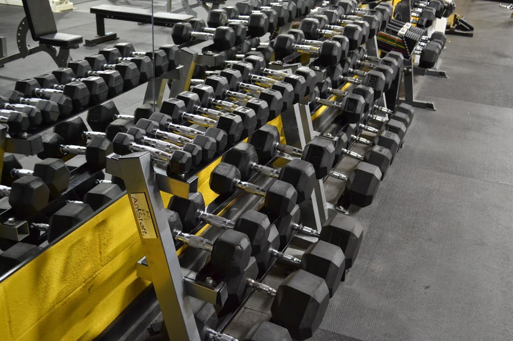 Quick Fitness | 9446 McLaughlin Rd N #16, Brampton, ON L6X 4H9, Canada | Phone: (905) 861-9999