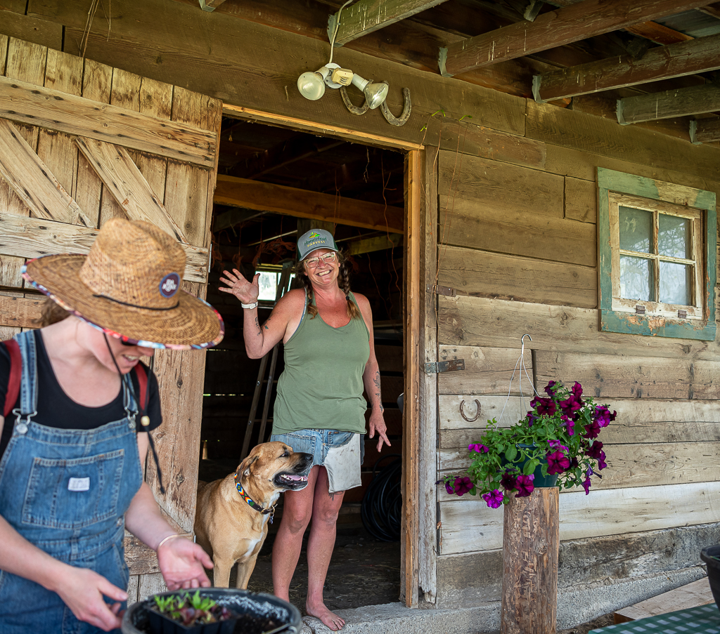 Homestead Harvest | 2331 13 Ave, Invermere, BC V0A 1K4, Canada | Phone: (250) 342-5859