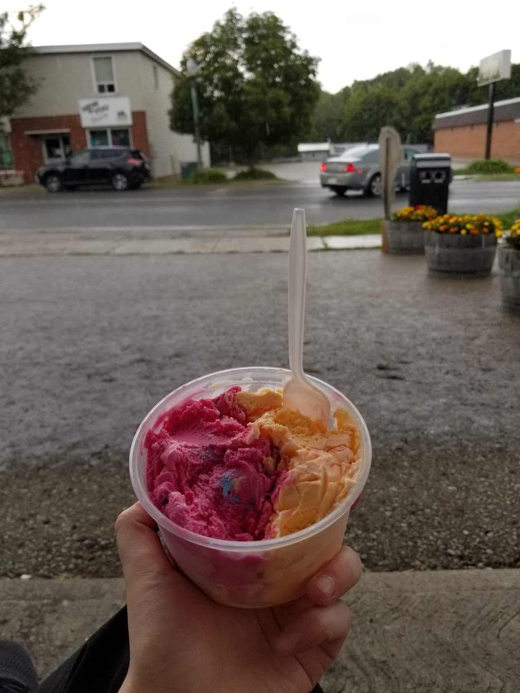 Baileys Ice Cream | 40 Main St, Erin, ON N0B 1T0, Canada